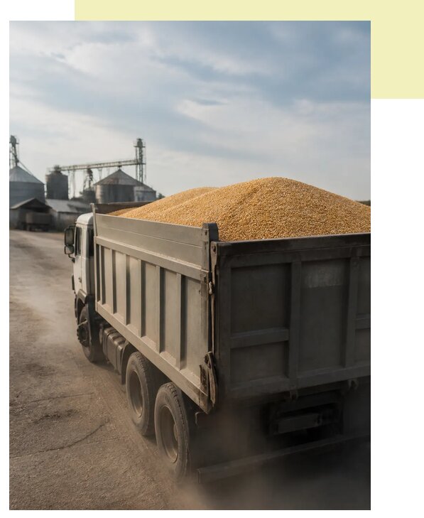 Перевозка сельхозпродукции навалом в Мелеуз по цене от 3069 р. | Агросервис-Млз