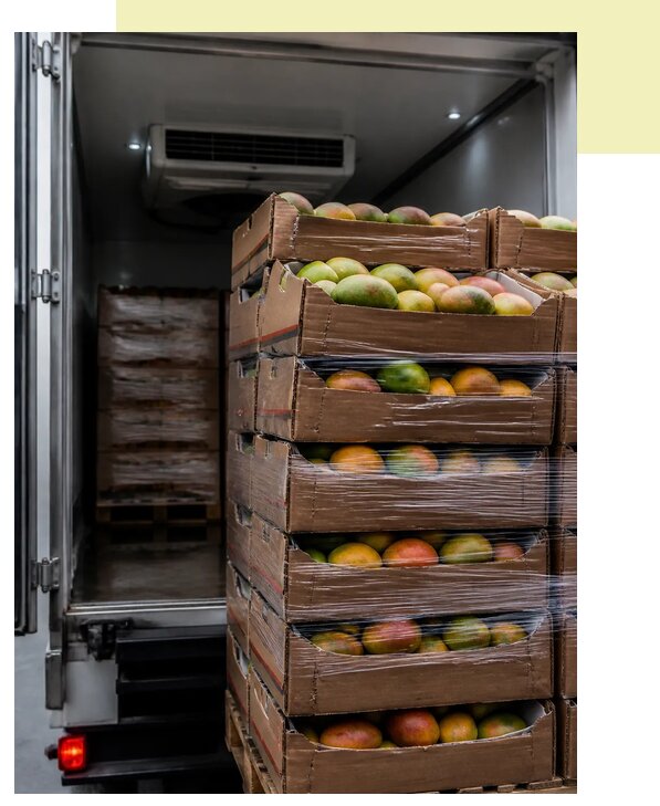 Перевозка манго рефрижератором в Мелеуз по цене от 5115 р. | Агросервис-Млз